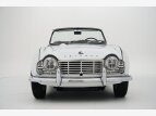 Thumbnail Photo 1 for 1961 Triumph TR4